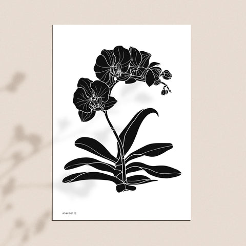 Kalka Orchidea