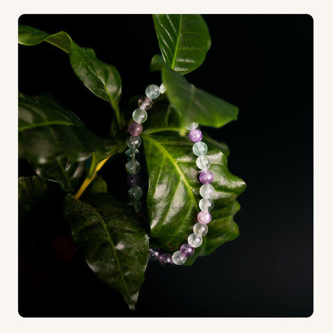 Kreoletka Spokój i Harmonia